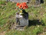 image number IMG_3287